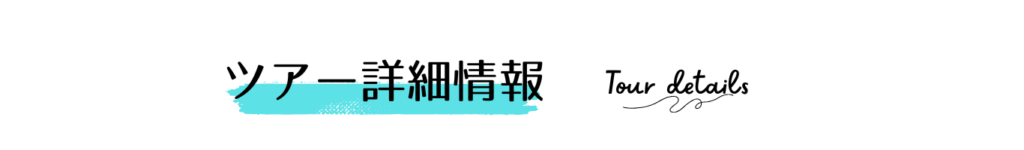 ツアー詳細情報